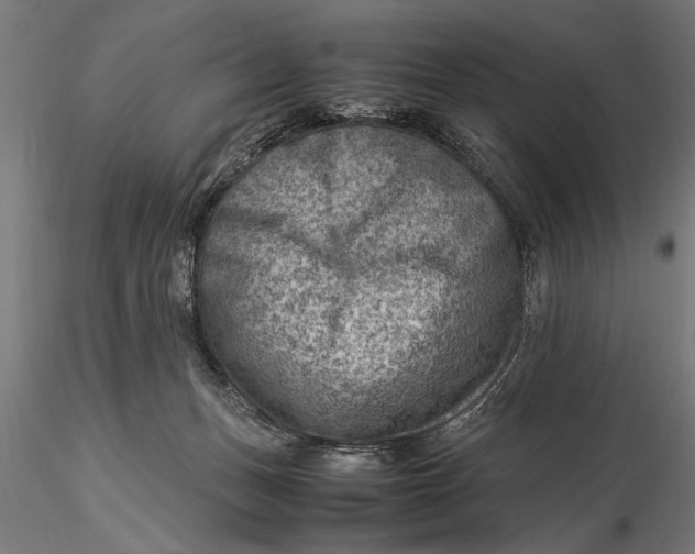X0000116060175200912111536