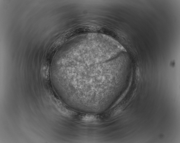 X0000116060177200912111536