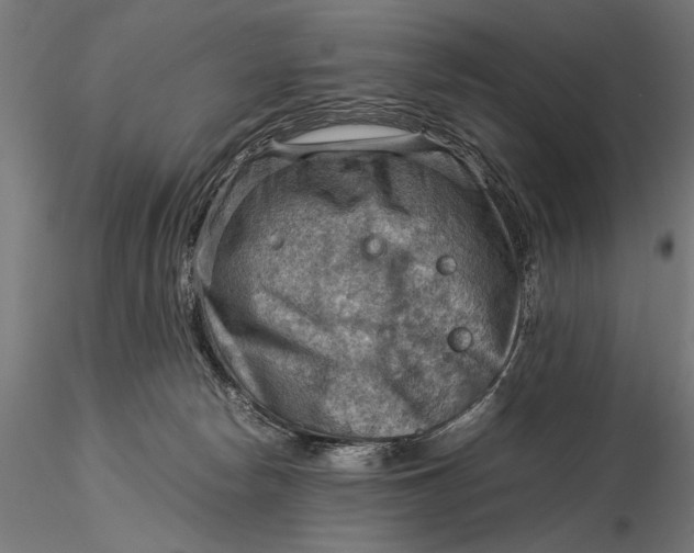 X0000116060178200912111536