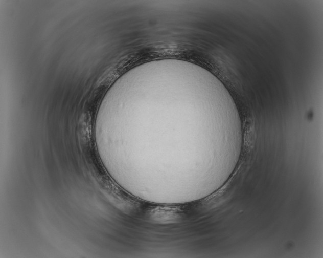 X0000116060179200912111536