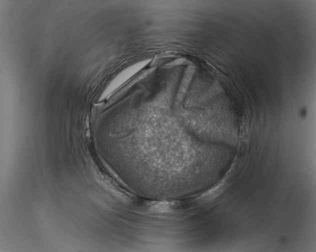 X0000116060182200912111536