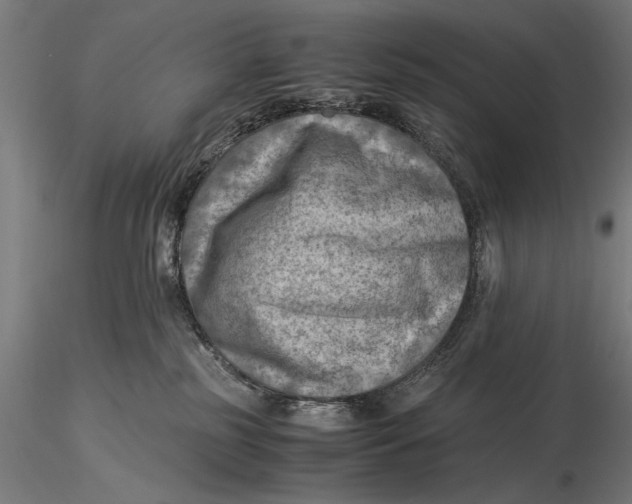 X0000116060185200912111537