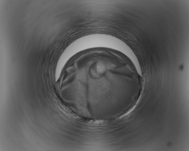 X0000116060186200912111537