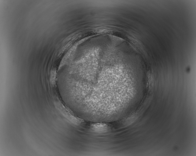 X0000116060189200912111537