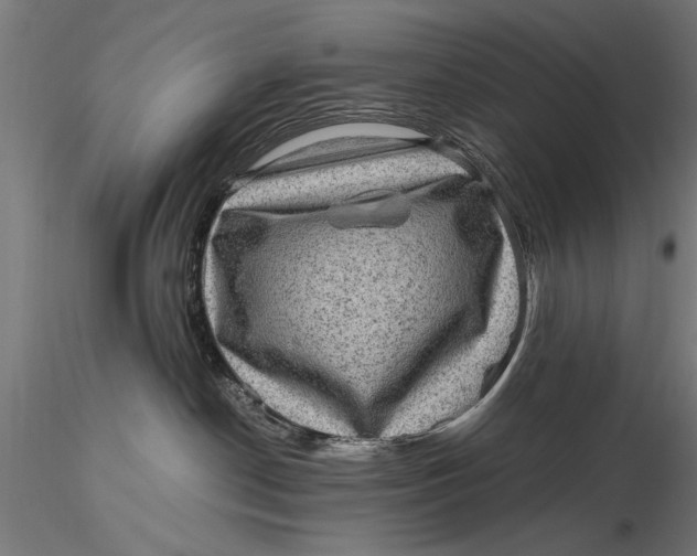 X0000116060190200912111537