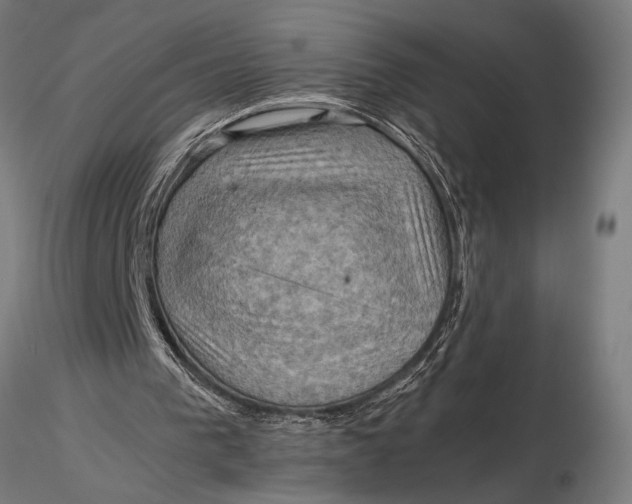X0000116060193200912111536