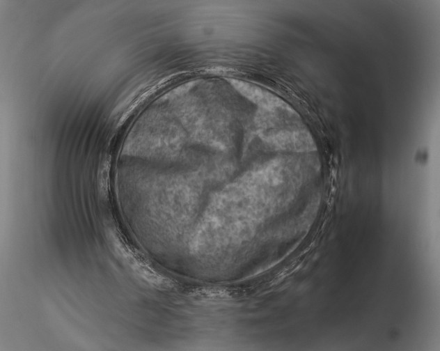 X0000116060194200912111536