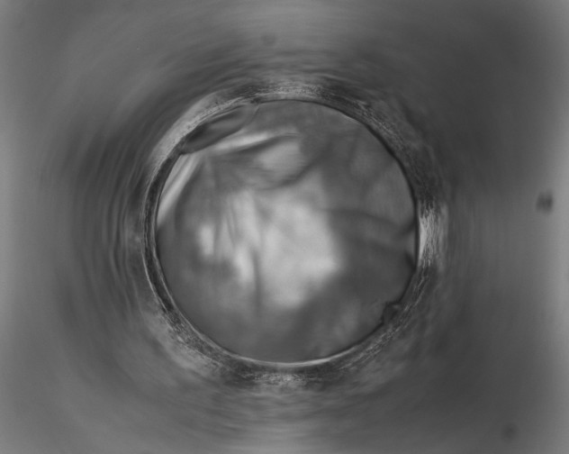 X0000116060195200912111536