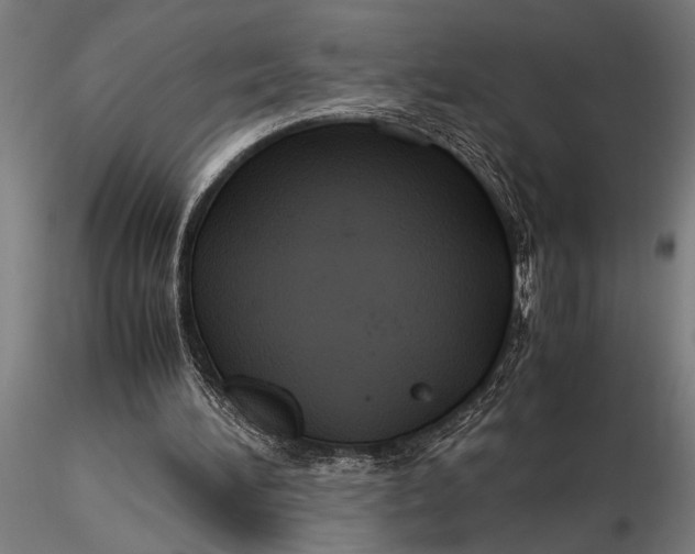 X0000116060196200912111536