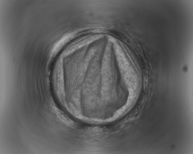 X0000116060197200912111536