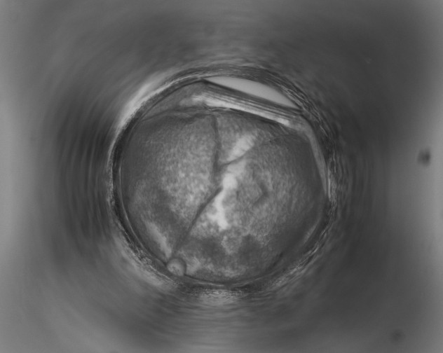 X0000116060198200912111536