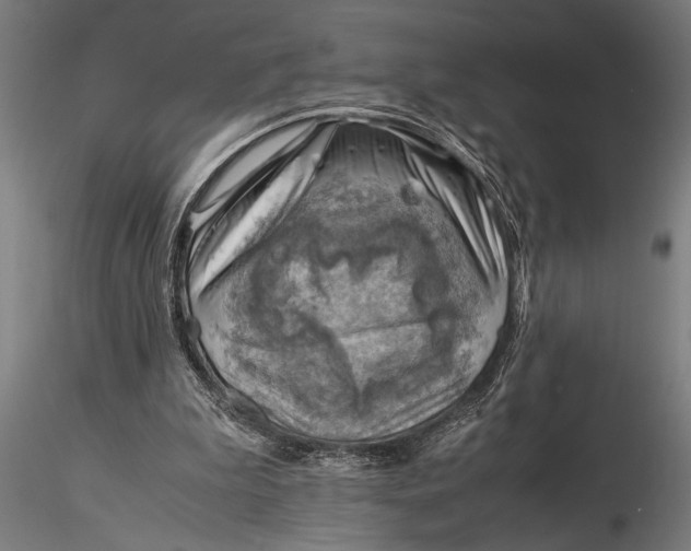 X0000116060199200912111536