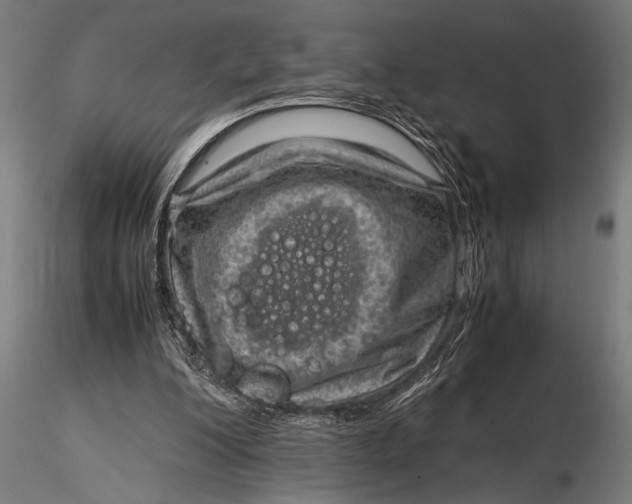 X0000116060200200912111536