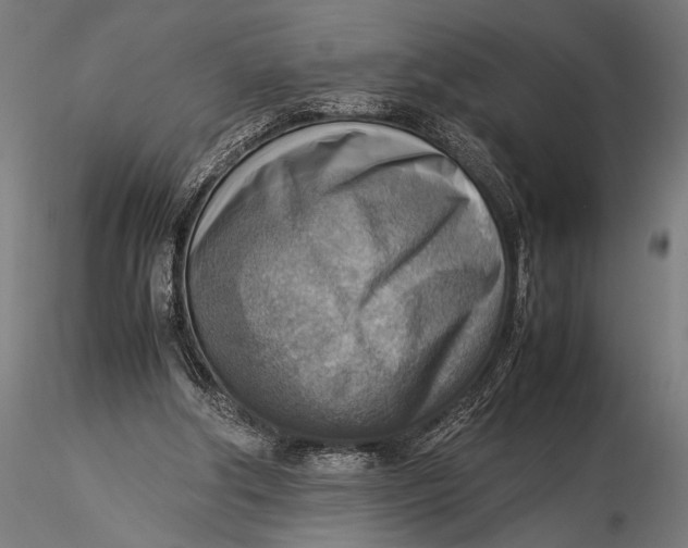 X0000116060202200912111536