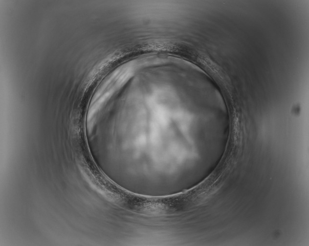 X0000116060203200912111536