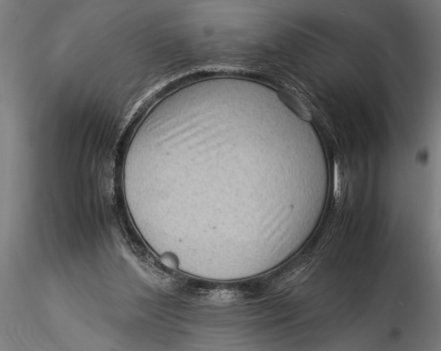 X0000116060204200912111536