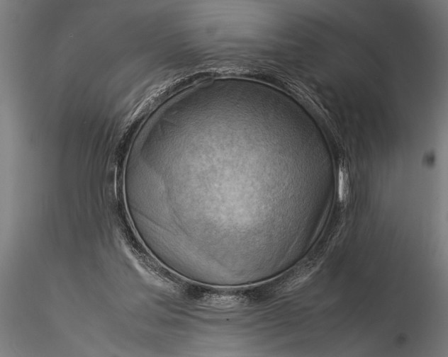 X0000116060205200912111536