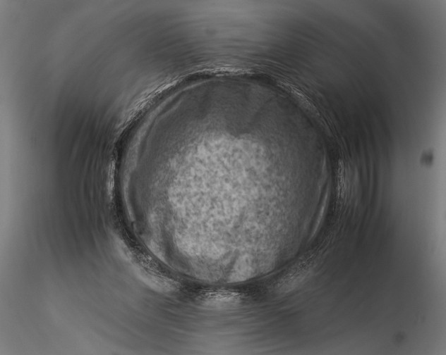 X0000116060206200912111536