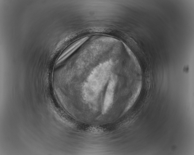 X0000116060207200912111536