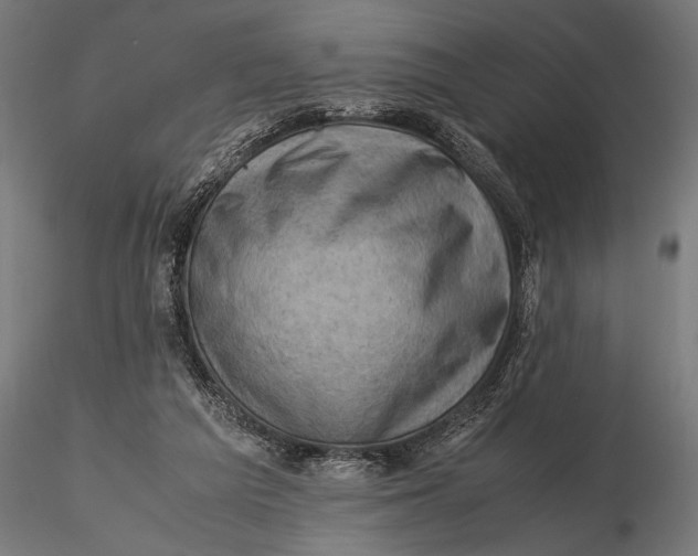 X0000116060209200912111536
