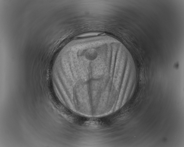 X0000116060211200912111536