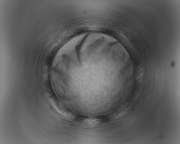 X0000116060213200912111536