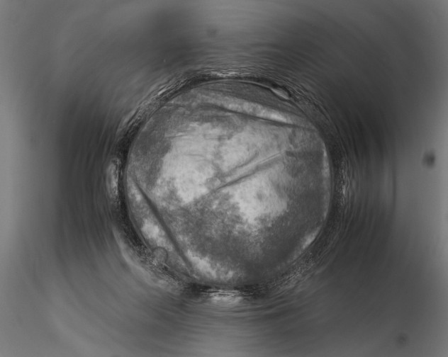 X0000116060214200912111536