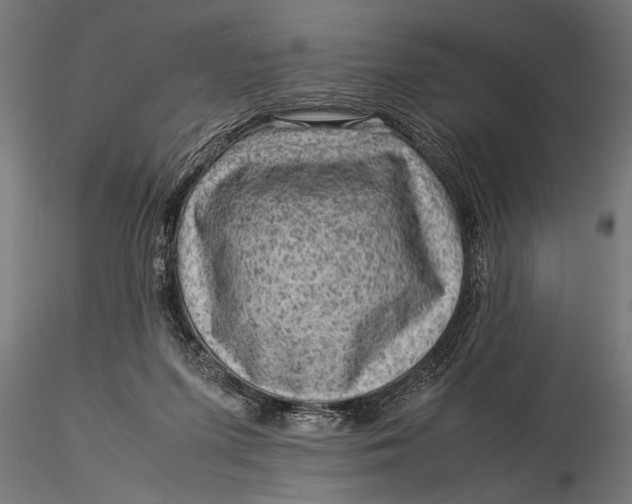X0000116060215200912111536