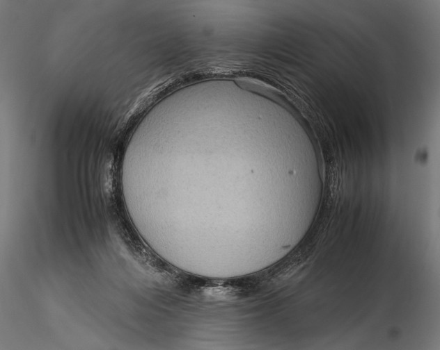 X0000116060216200912111536