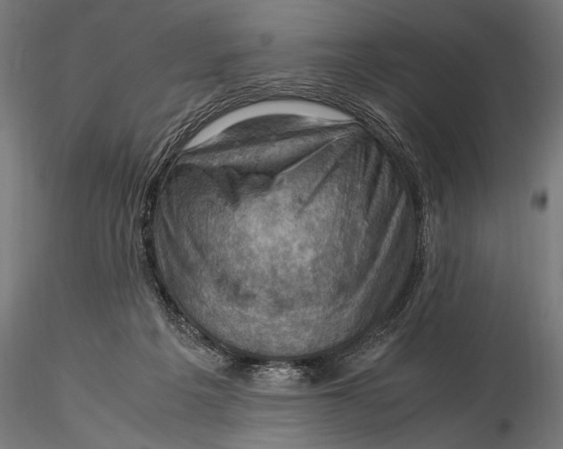 X0000116060217200912111536