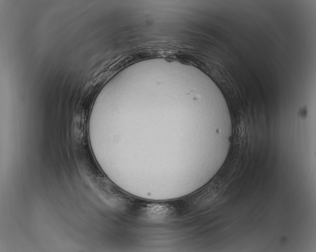 X0000116060218200912111536
