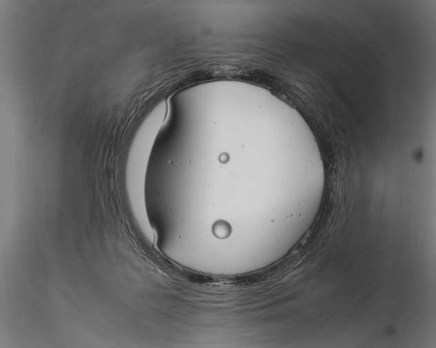 X0000116060219200912111535