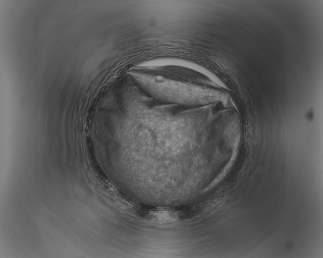 X0000116060221200912111535