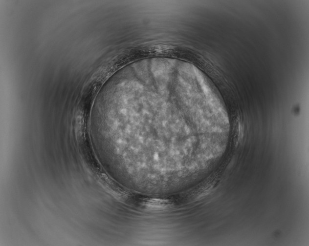 X0000116060222200912111535