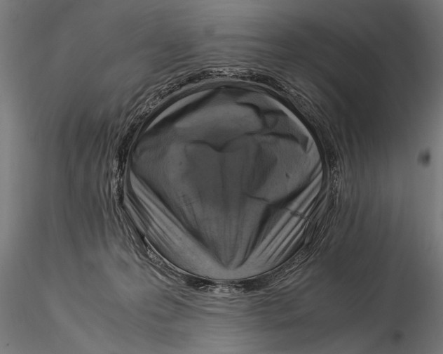 X0000116060223200912111535