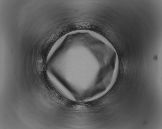 X0000116060224200912111535