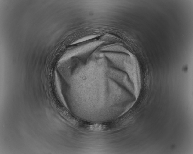 X0000116060225200912111535