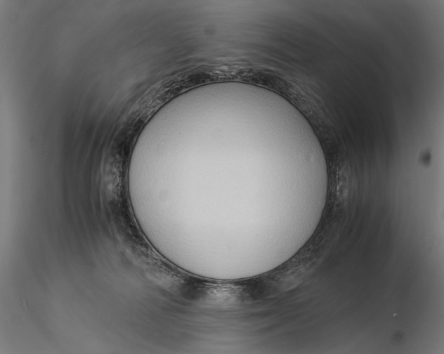 X0000116060226200912111535