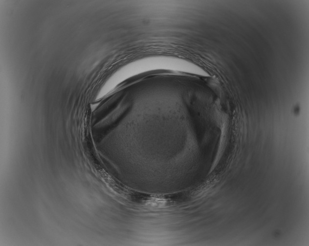X0000116060227200912111535