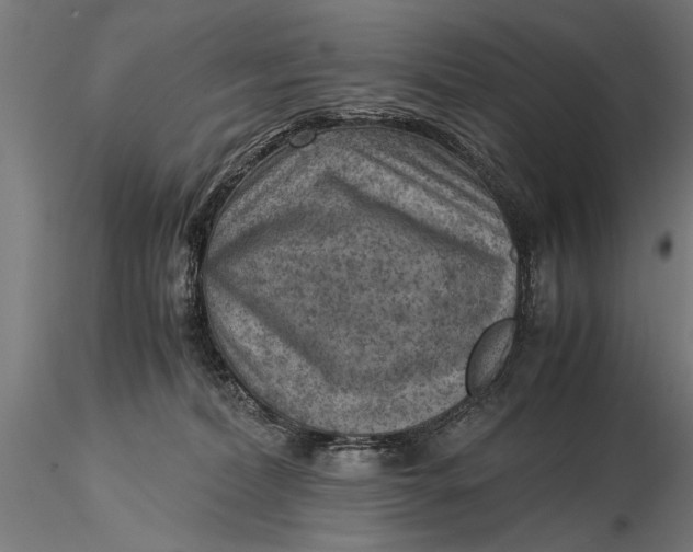 X0000116060228200912111535
