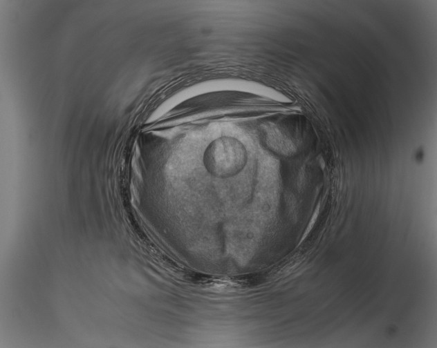X0000116060229200912111535