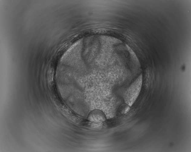 X0000116060230200912111535