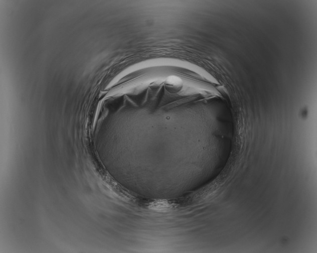 X0000116060231200912111535