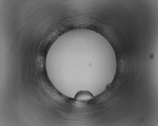 X0000116060232200912111535