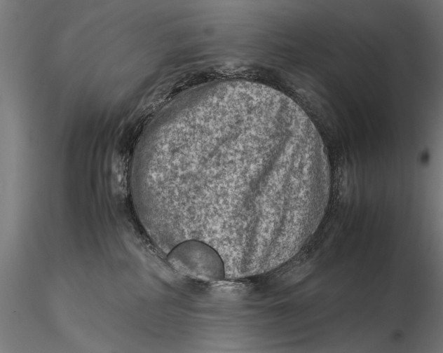 X0000116060234200912111535