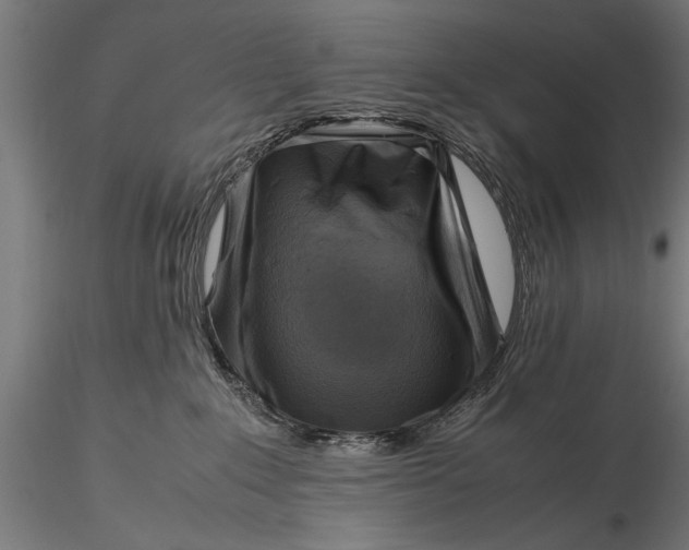 X0000116060235200912111535