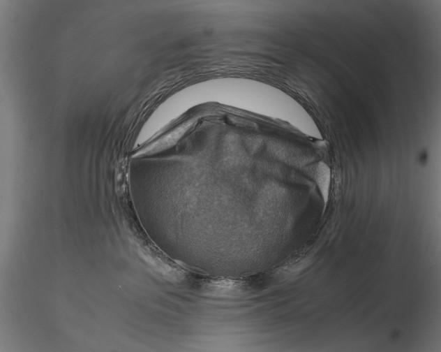 X0000116060237200912111535
