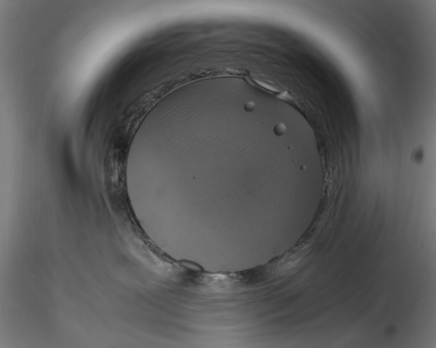 X0000116060239200912111535