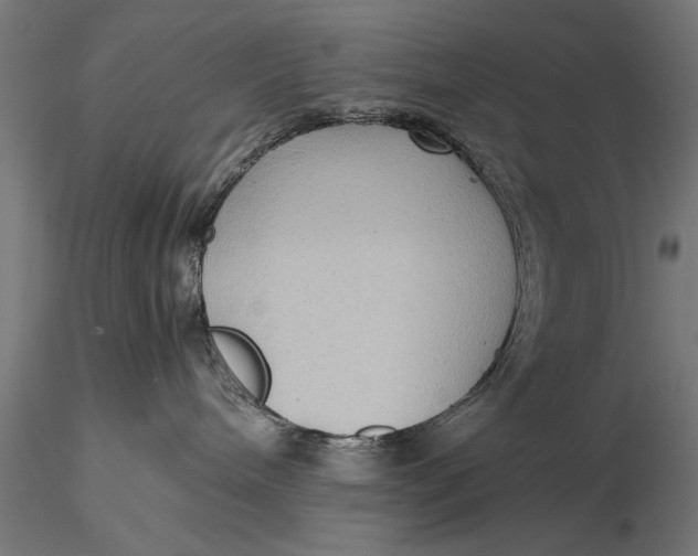 X0000116060240200912111535