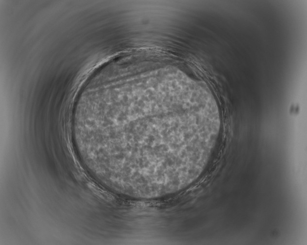 X0000116060241200912111535